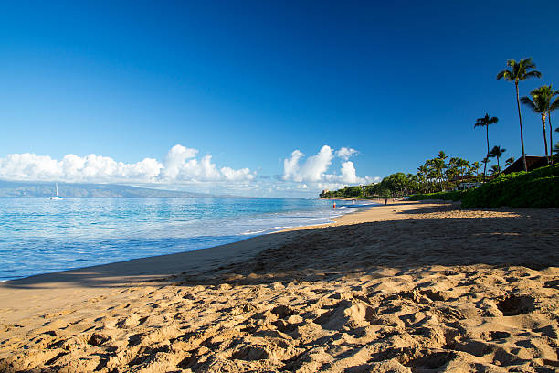 istock USA - Hawaii - Maui, Kaanapali Beach 537077519