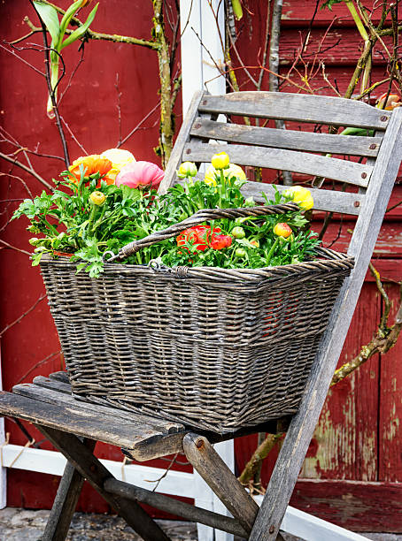 istock old chair and flowers 537078075