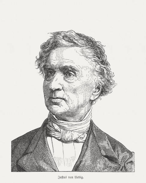 istock Justus von Liebig (1803-1873), German chemist, wood engraving, published 1882 537078637