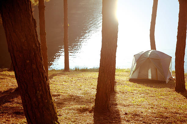 istock Camping at Pang Tong Under Royal Forest Park 537094583