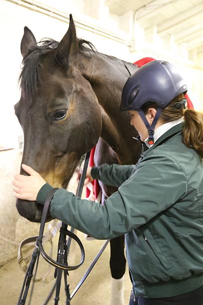 istock young woman prepares her horse 537095407