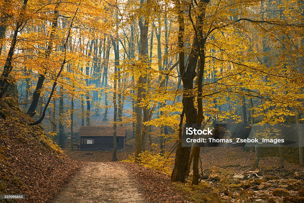 Autumn trail Log Cabin Stock Photo