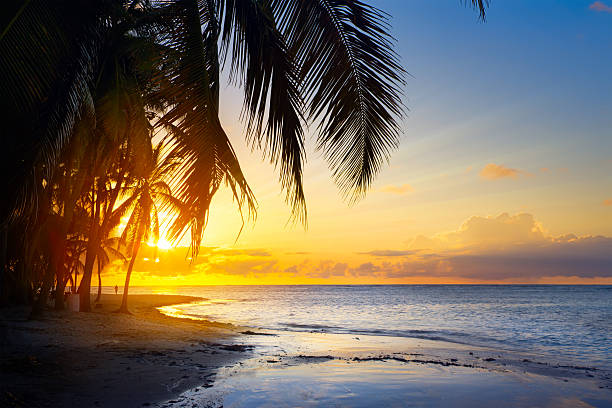 istock Art Beautiful sunrise over the tropical beach 537095769