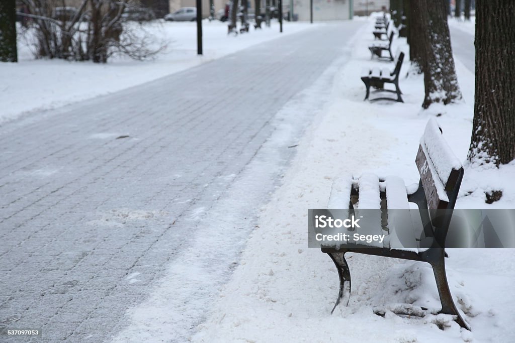 The path in the park after snowfall with benches The path in the park after snowfall with snow-covered benches 2015 Stock Photo