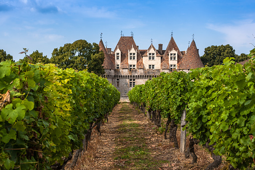 Monbazillac, France - July 16, 2013: Monbazillac Castle with vineyard, Dordogne, France