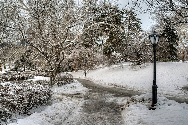 istock Central Park, New York City 537098965