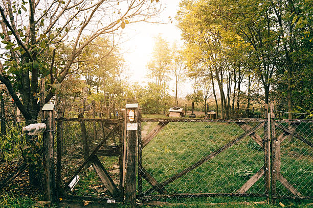 istock Autumn farm fence 537100127