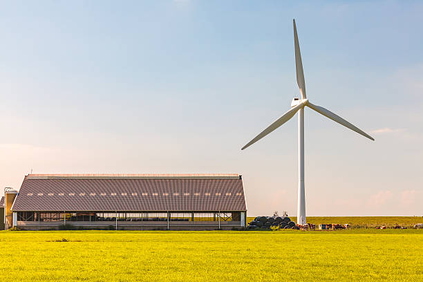 голландский фермерский дом с ветровой турбины - netherlands windmill farm farmhouse стоковые фото и изображения