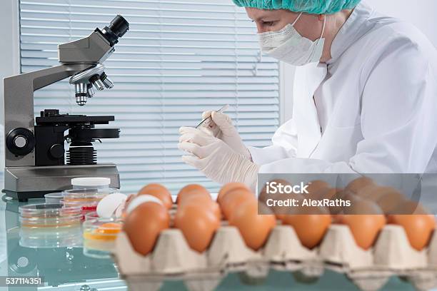 Food Safety Concept Stock Photo - Download Image Now - 2015, Adult, Agriculture