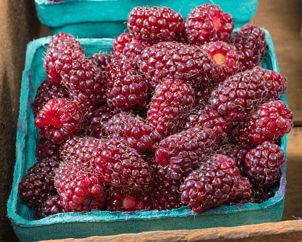 istock Fresh Tayberries in boxes at market 537116163