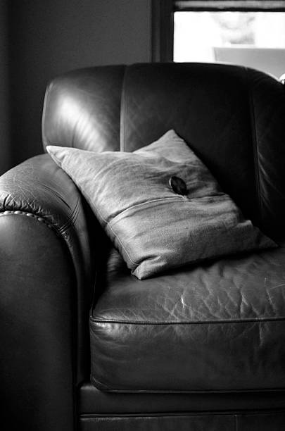 istock Black and White Leather Couch with Pillow 537116901