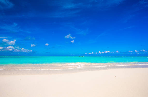 istock White sandy beach with turquoise water at perfect island 537119885