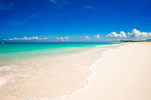 istock White sandy beach with turquoise water at perfect island 537119889
