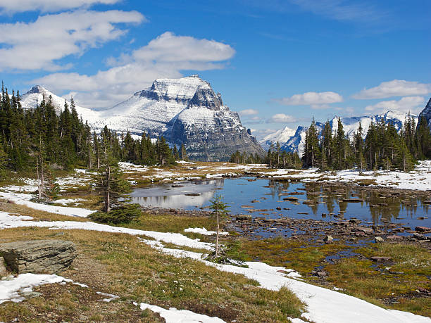 parque nacional de los glaciares logan aprobado hidden lago trail scenic de agua - montana water landscape nature fotografías e imágenes de stock