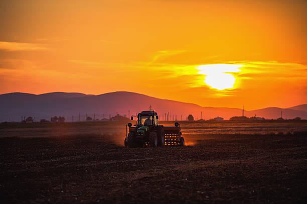 farmer 있는 트랙터 지상관광 seedbed cultivator 함께 준비 - seedbed 뉴스 사진 이미지