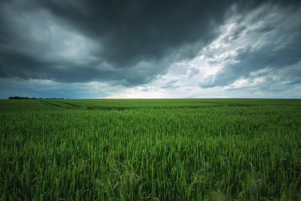 istock Green field and cloudy sky, long exposure 537165800