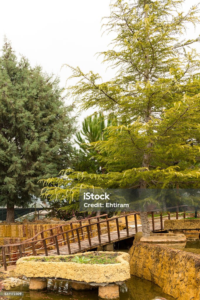 Color water in the natural thermal pools Amazing photo of the hot spring in the mountains 2015 Stock Photo