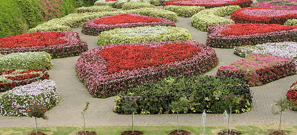 istock Ornamental flower garden 537172713
