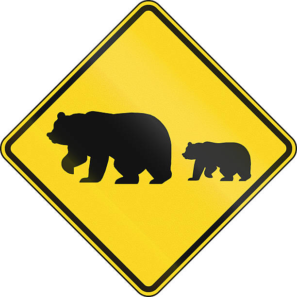 Migrating Bears US warning traffic sign: Migrating bears. crossing sign stock pictures, royalty-free photos & images