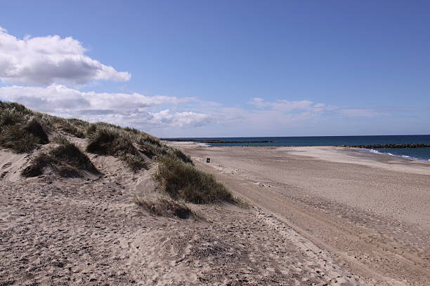 istock Beach along the North Sea 537175143