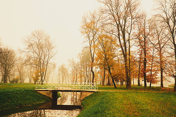 istock Lake in autumn park 537177031