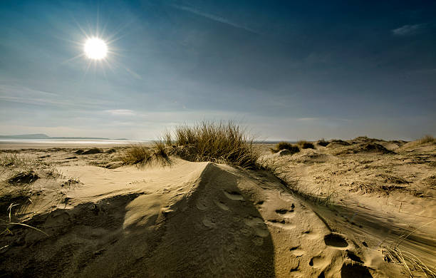 istock Starburst sun shining over sand dunes and sea grass 537177937