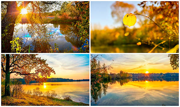 istock Collage of autumn scenery 537178901
