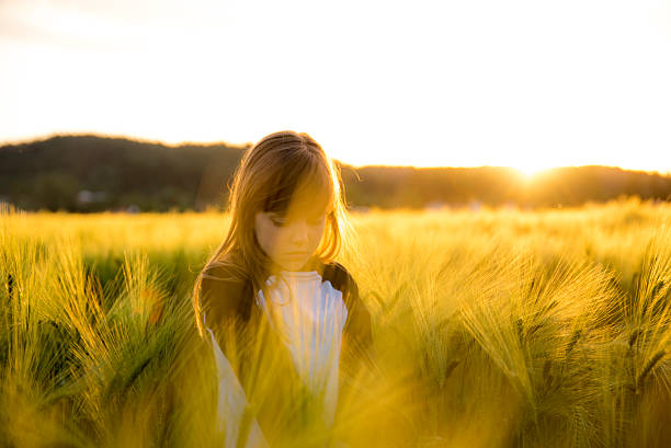 istock Girl in a wheatfield 537184614