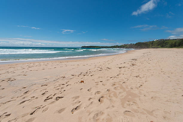 istock Australia Wollongong beach 537185049