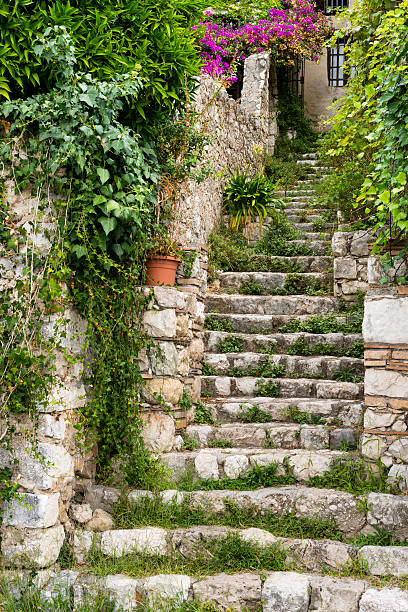 Charming scene in old city of Saint-Paul-de-Vence, Provence, France, Europe.