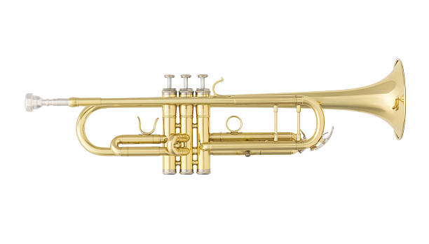istock Golden Trumpet Isolated on White Background 537188118