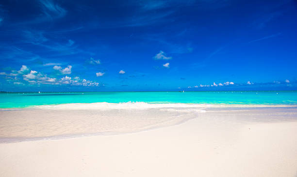 istock White sandy beach with turquoise water at perfect island 537190961