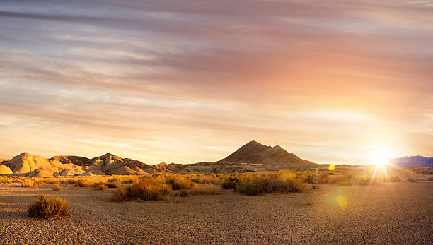 bei sonnenuntergang - nevada stock-fotos und bilder