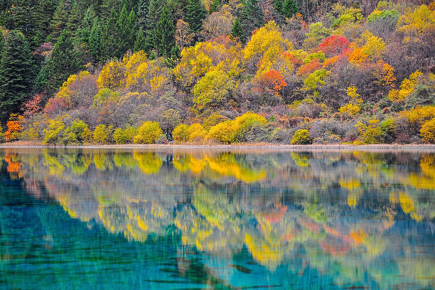 istock Jiuzhaigou National Park 537191945