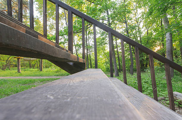 istock wooden Stairway in summer forest 537206358