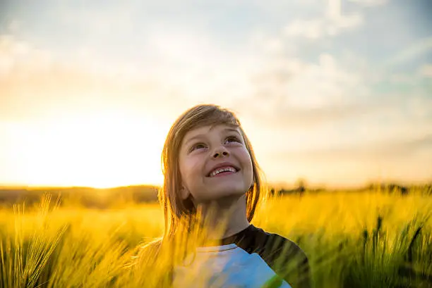 Cute little girl standing in a wheatfield in a beautiful sunset.