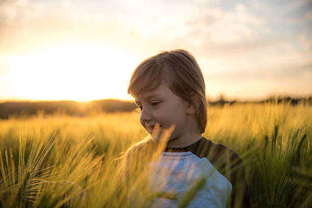 istock Little girl in a high grass 537206650