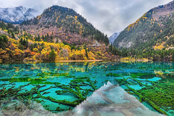 istock Jiuzhaigou National Park 537207793