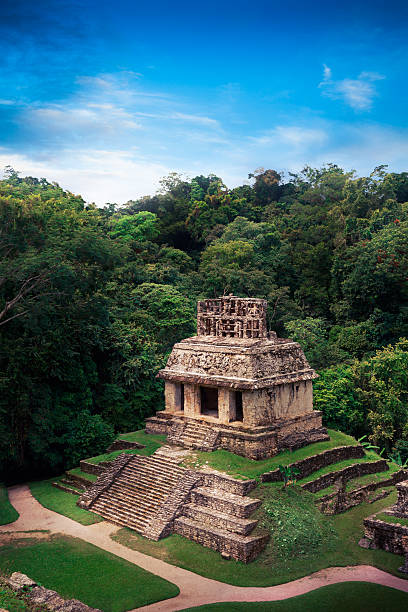 istock Palenque, Maya city in Chiapas, Mexico 537209503