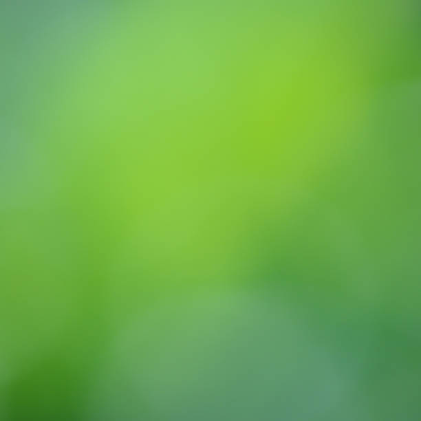 istock Beautiful green abstract background 537209515