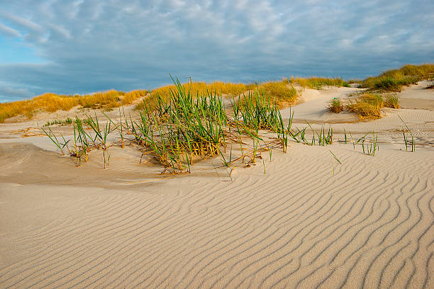 istock Baltic sea at beautiful landscape 537210585