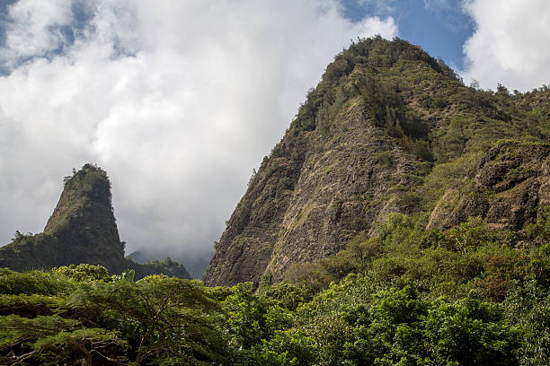 istock USA - Hawaii - Maui, West Maui Forest Reserve 537210831