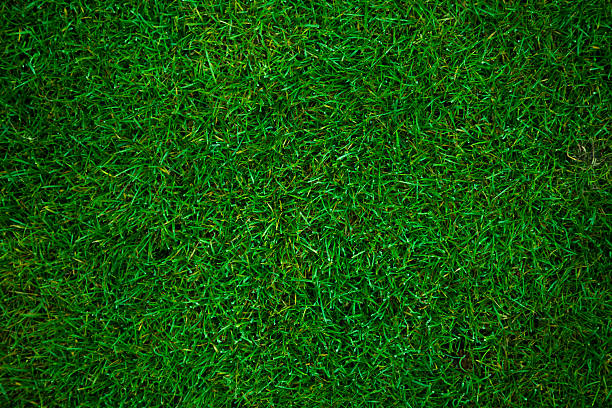 green grass football pitch - grass stockfoto's en -beelden