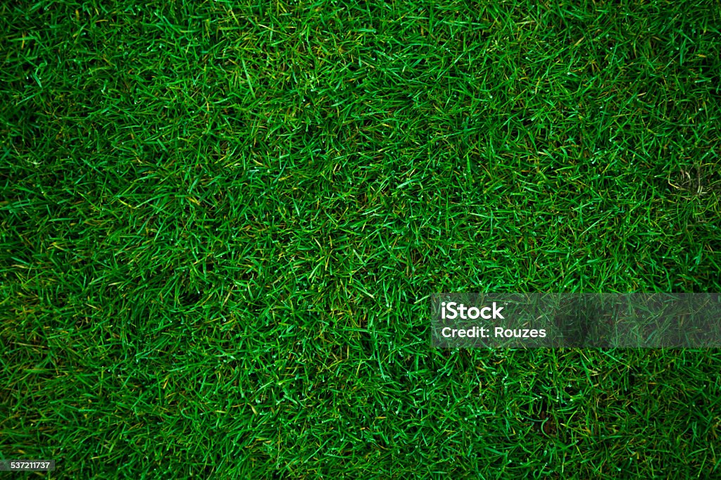 green grass football pitch green grass background Grass Stock Photo
