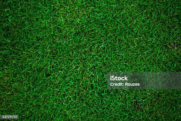 Green Grass Football Pitch Stock Photo - Download Image Now - Grass, Backgrounds, Textured