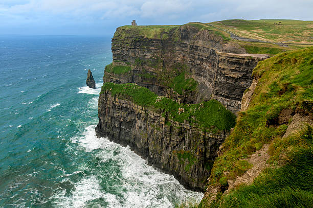 istock Lush Grass at Cliffs of Moher in Ireland 537212399