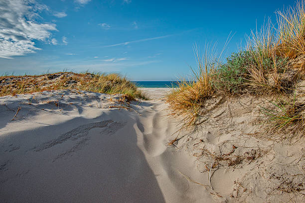 istock Baltic sea at beautiful landscape 537212673