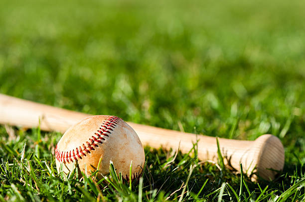 istock Baseball Bat and Ball on Grass Field 537214947
