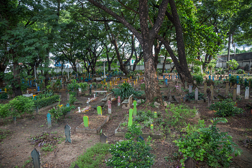Buddhist cemetery with wooden grave markers, Bangkok, Thailand