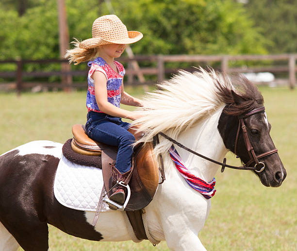 istock Oh how Sweet My Pony is 537229230